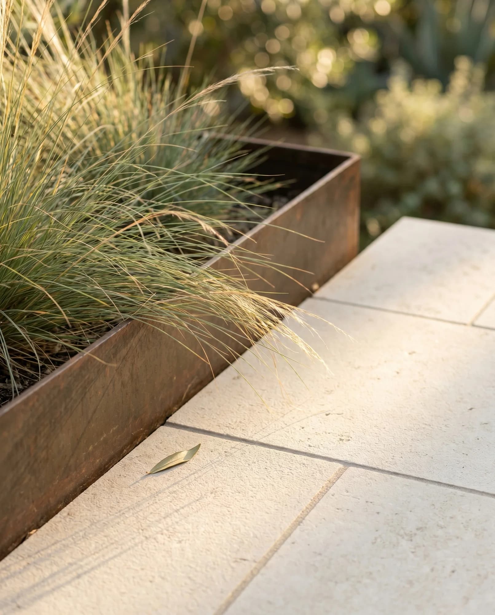 Material-forward hardscape detail showing refined lines and craftsmanship