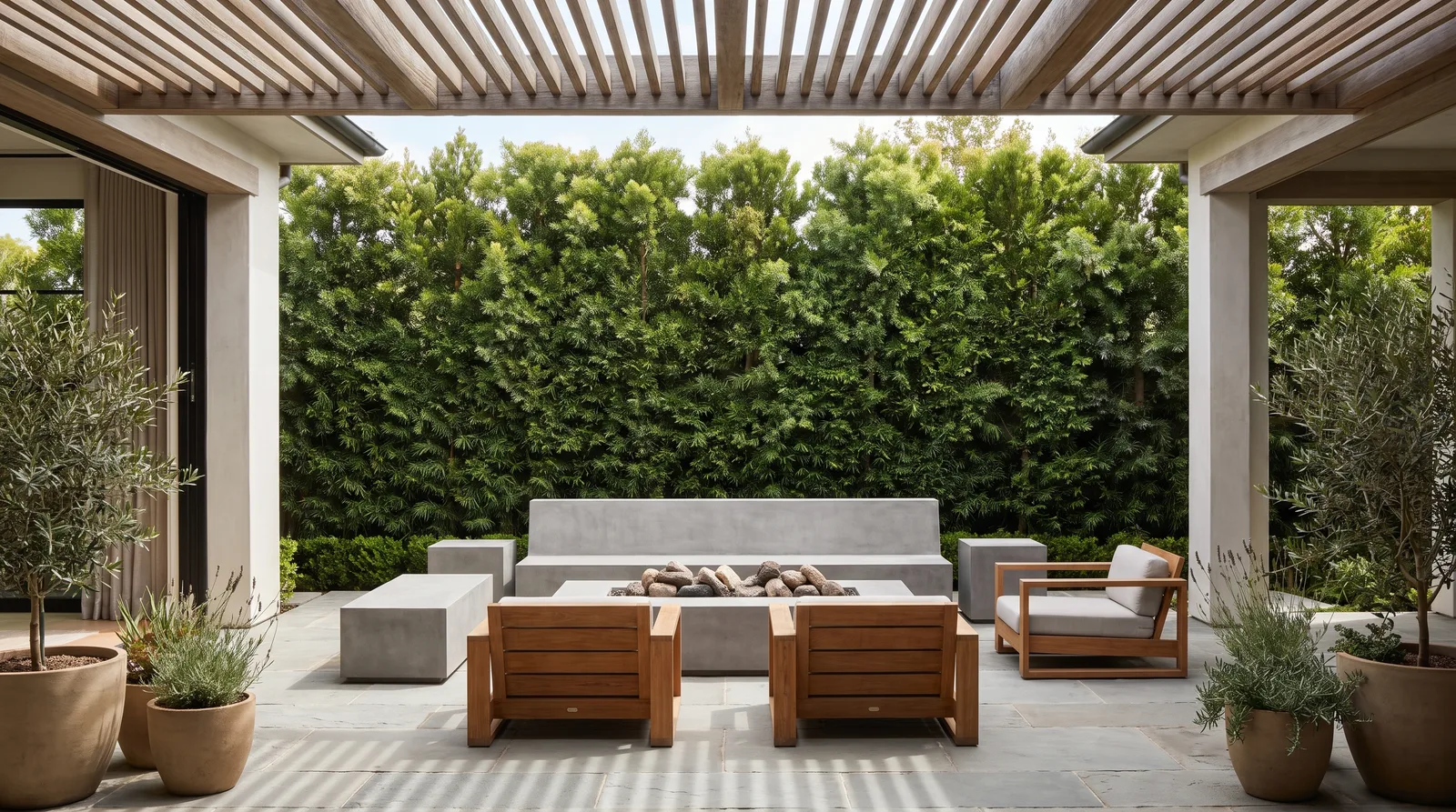 Mature closed Podocarpus hedge forming a tall green wall behind a modern patio