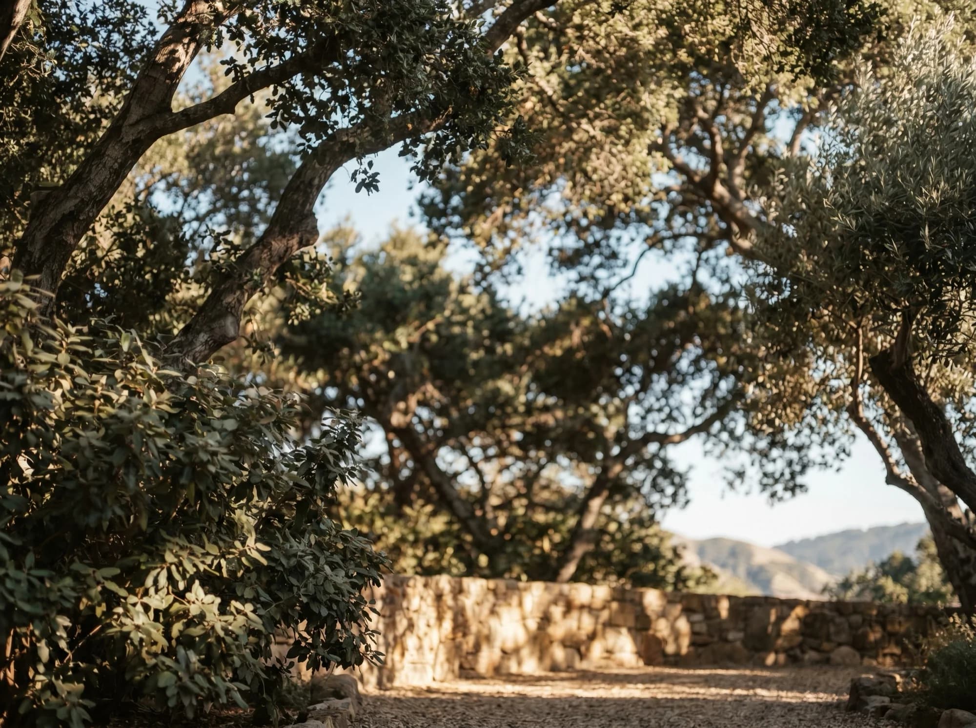 A Seasonal Stewardship Calendar for Southern California Gardens