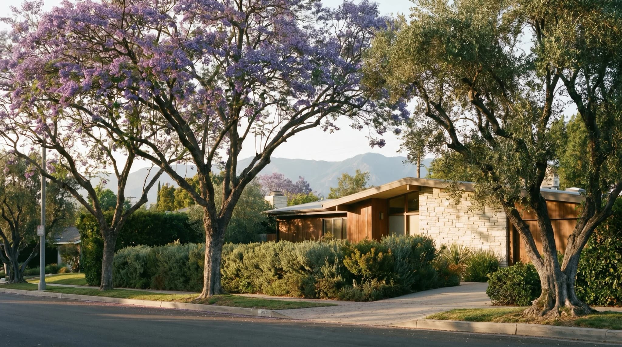 Landscape and hardscape in Los Angeles