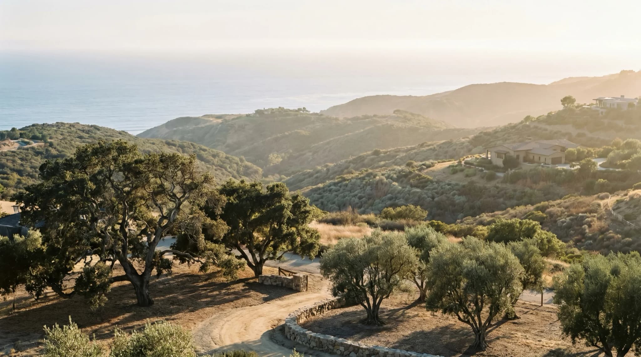 Architectural Coastal Landscaping in Orange County